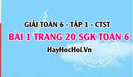 Giải bài 1 trang 20 Toán 6 Tập 1 SGK Chân trời sáng tạo